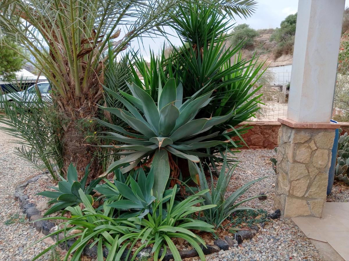 Casa Cueva Molino El Tarahalヴィラ エクステリア 写真